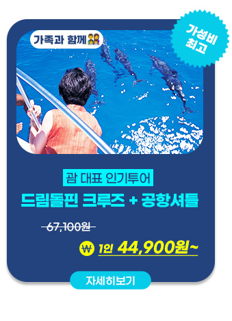 드림돌핀 크루즈+공항셔틀